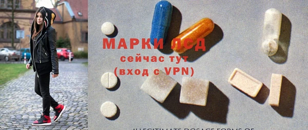 a pvp Аркадак