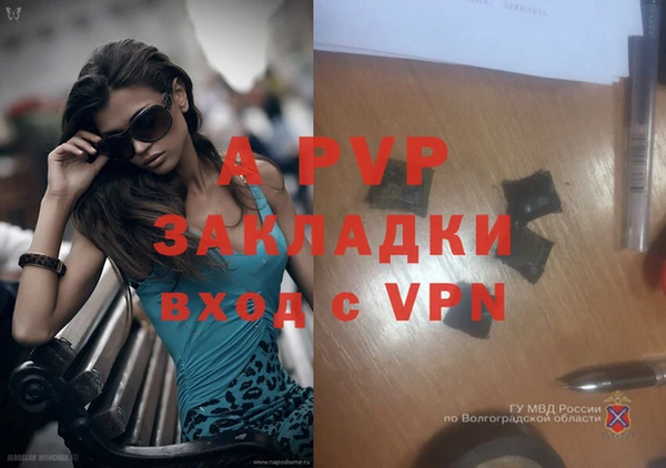 стафф Армянск